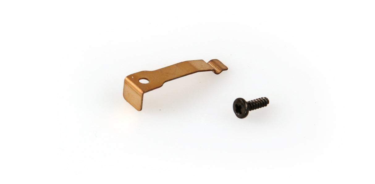 Throttle Ratchet Spring (Ranger 2Z/Etc)